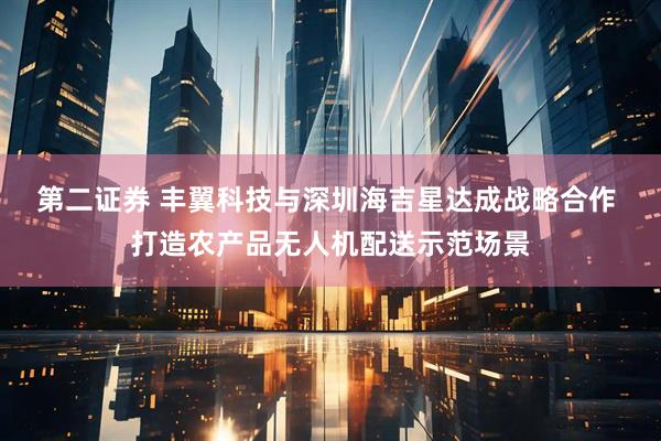 第二证券 丰翼科技与深圳海吉星达成战略合作 打造农产品无人机配送示范场景