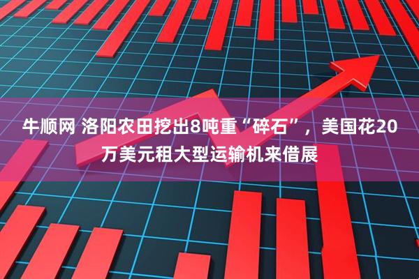 牛顺网 洛阳农田挖出8吨重“碎石”，美国花20万美元租大型运输机来借展